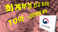 금융위, 회계부정 신고 포상금 한도 10억→20억원 대폭 상향