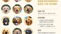 관세청, ‘천사견’ 리트리버 14마리 민간분양…내달 7일까지