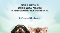 DB손보, 서울시와 유기동물 입양 활성화 앞장선다