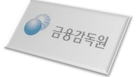 금감원, 재무공시 새언어 'XBRL' 시스템 시범 가동