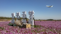 인천공항 하늘정원에 코스모스 꽃밭 조성…코스모스와 ‘인생샷’ 남겨요!