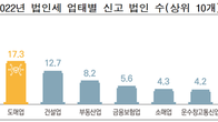 [국세통계] 지난해 매출 1조원 초과 기업 529곳…법인세 절반 부담