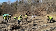 [포토뉴스] 농협은행 임직원, 충북 제천 일손부족 농가 찾아 ‘구슬땀’