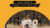 강아지숲, ‘국제 강아지의 날’ 기념 특별 이벤트...'반려견에게 특별한 하루 선물'