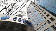 금감원, 지난해 회계·감리 지적사례 14건 공개…최다는 허위 매출