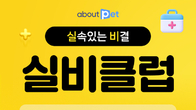 어바웃펫, 캐롯손보와 손잡고 반려동물 의료비 지원 새 멤버십 출시