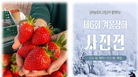 상하농원, 딸기수확 체험&겨울상하 사진 공모전 초대