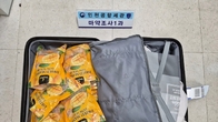 인천공항세관, '건망고 속에 대마초가?'…마약 밀반입 태국인 2명 구속
