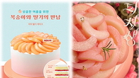 달콤함 가득 복숭아에 매료된 식음업계...관련 먹거리 봇물