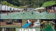 더존비앤씨티, 강아지숲 ‘네이처풀 하이시즌’ 사전 예매 오픈