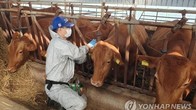 농식품부, '럼피스킨 발생' 프랑스산 소고기 수입 금지 조치