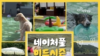 강아지숲, ‘네이처풀 미드시즌’ 사전 예매 15일 오픈