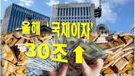 올해 국채이자 30조원 돌파…4년새 10조·연평균 13% 증가