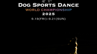 세계 유일 ‘DSD 월드 챔피언십’ 강아지숲서 개최