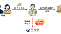 편법증여도 능력? 수십억 증여 탈루, 세무조사 검증받는다