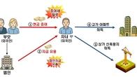 한강벨트 부동산으로 큰 돈 번 외국인…뒷배는 부모 회삿돈, 결국은 세무조사