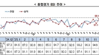 국내기업 경기전망 45개월 연속 부정적…업종별 뚜렷한 양극화